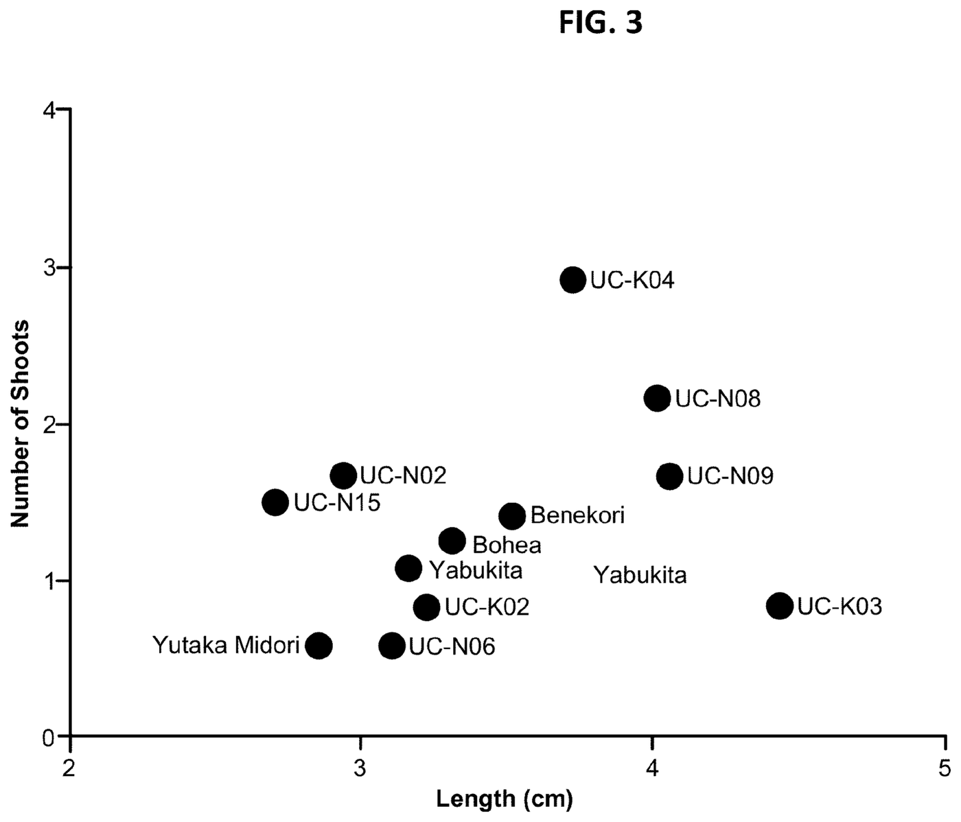 Figure 3: scatter plot of shoot length versus number of shoots across 12 tea varieties, showing no correlation between the two traits