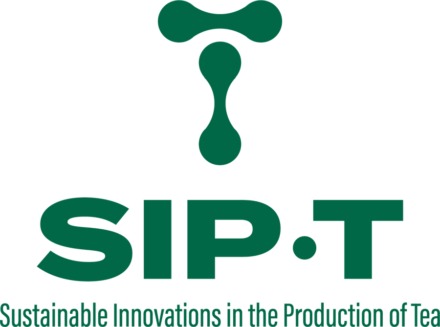 SIP-T, Inc. logo mark